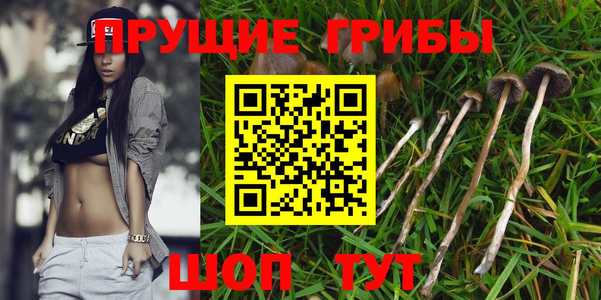 Галлюциногенные грибы ЛСД  Вход с VPN  Тайшет 